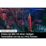 Samsung GU85CU8079U 214cm 85" 4K LED Smart TV Fernseher