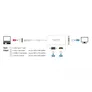 Delock Adapter USB Type-C™ Stecker > VGA / HDMI / DVI Buchse weiß