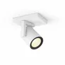 Philips Hue White & Color Ambiance Argenta Deckenleuchte weiß • 1er-Spot