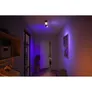 Philips Hue White & Color Ambiance Centris Deckenleuchte schwarz • 2er-Spot
