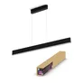 Philips Hue White & Color Ambiance Ensis Deckenleuchte Pendelleuchte schwarz