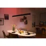 Philips Hue White & Color Ambiance Ensis Deckenleuchte Pendelleuchte schwarz