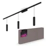 Philips Hue White & Color Ambiance Perifo Deckenleuchte Pendelleuchte schwarz