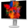 Fujitsu P2410 WE CAM 61.0 cm (24") WUXGA Monitor
