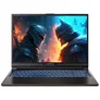 Captiva Advanced Gaming I76-025 16" QHD+ i9-13900HX 32GB/2TB SSD RTX4060 Win11