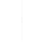 Apple EarPods (USB-C)