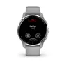 Garmin VENU 2 PLUS Hellgrau/Silber