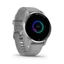 Garmin VENU 2 PLUS Hellgrau/Silber