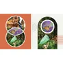 Adobe Photoshop & Premiere Elements 2024 | Windows | Download & Produktschlüssel