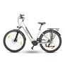 ROVER Trekking E-Bike TLM 709 28" grau