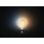 Philips Hue White Ambiance E27 Einzelpack Giant Globe G125 Filament 550lm