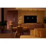 Philips Hue White Ambiance E27 Einzelpack Giant Globe G125 Filament 550lm