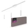 Philips Hue White & Color Ambiance Perifo Deckenleuchte Pendelleuchte weiß