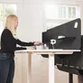 Yaasa Privacy Wall M/L