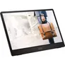 MSI Pro MP161DE E2 39,6cm (15,6") FHD IPS Mobiler Monitor 16:9 HDMI/USB-C (DP)