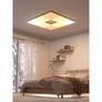 Nanoleaf Skylight Starter Kit (3 Lichtmodule)