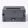Brother HL-L2400DW S/W-Laserdrucker USB WLAN