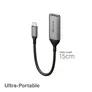 ALOGIC Ultra USB-C (männlich) auf DP (weiblich) Adapter grau 15 cm