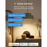 Meross Smart Wi-Fi 1 Way Wall Switch