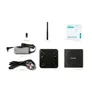 ZOTAC ZBOX CI337 NANO Mini-PC Barebone N100 0GB/0GB Intel UHD DOS