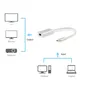 EQUIP 133457 USB-C auf Mini DisplayPort Adapter