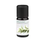 Medisana Aroma Eukalyptus 10ml