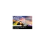 Samsung GQ55S92C 140cm 55" 4K QD-OLED 144Hz Smart TV Fernseher