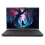 Captiva Ultimate Gaming I81-608 17,3" WQXGA i9-14900HX 64GB/2TBSSD RTX4090 Win11