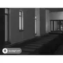 Reolink P437 PoE Cam