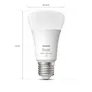 EDU: Philips Hue Starter Set White & Col. Amb. E27 3er Pack + Dimmschalter
