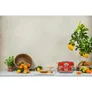 SMEG TSF01DGEU Dolce & Gabbana Toaster Sicily is my love