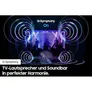 Samsung HW-Q995GD/ZG 11.1.4-Kanal Sub Woofer & Rücklautsprecher schwarz