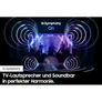 Samsung HW-Q935GD/ZG 9.1.4-Kanal Sub Woofer & Rücklautsprecher schwarz