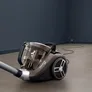 Rowenta Compact Power XXL Animal RO4B50