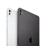 Apple iPad Pro 11" 2024 Wi-Fi + Cellular 256 GB Space Schwarz MVW13NF/A