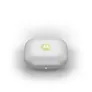 Motorola Moto Buds Kiwi Green