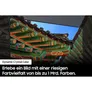 Samsung GU65DU8079 163cm 65" 4K LED Smart TV Fernseher