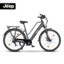 Jeep Trekking E-Bike TLR 7030 mit Federgabel 28“