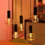 Philips Hue White & Col. Amb. Lightguide Giant Edison ST72 E27 500ml