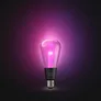 Philips Hue White & Col. Amb. Lightguide Giant Edison ST72 E27 500ml