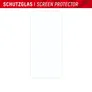 DISPLEX Real Glass + Case Set iPhone 15 Pro