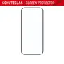 DISPLEX Real Glass FC iPhone 15/15 Pro
